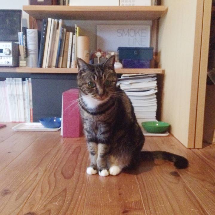 1f2756ac 8eca 4a68 bb09 dbb79fac12e7 1540957391655