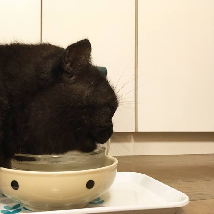 1f2793ee d4cf 4a32 8bca 0af579aad495 1530798233178