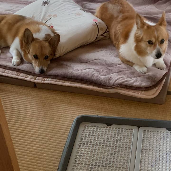 1f27bd7b c1e6 44b8 bb1d 8ff7e023990a 1621066979365