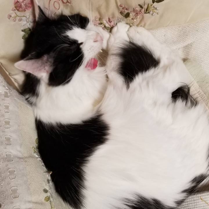 1f27d24c e9ed 498e bd06 9eb8d173b5a9 1582118892892