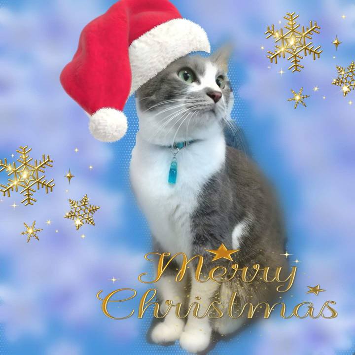 1f27e766 86c4 4624 9159 931c0c07e1d8 1640342513977