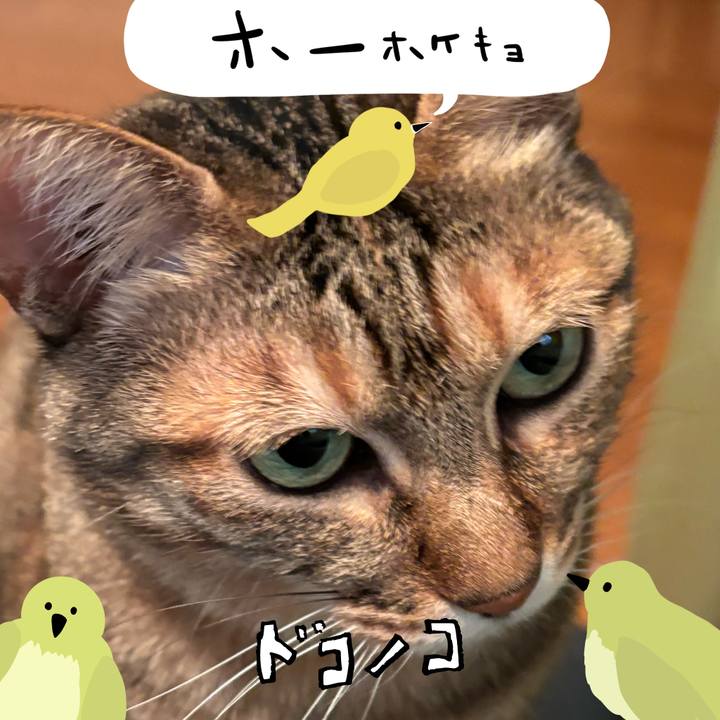 1f27eaa8 f7c6 4849 973f 33820f0b2dd4 1711440272610