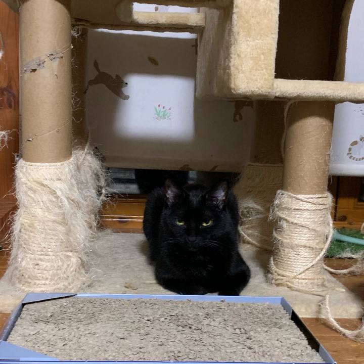 1f27efcb c758 4624 a999 d8ca236c7382 1560017876089