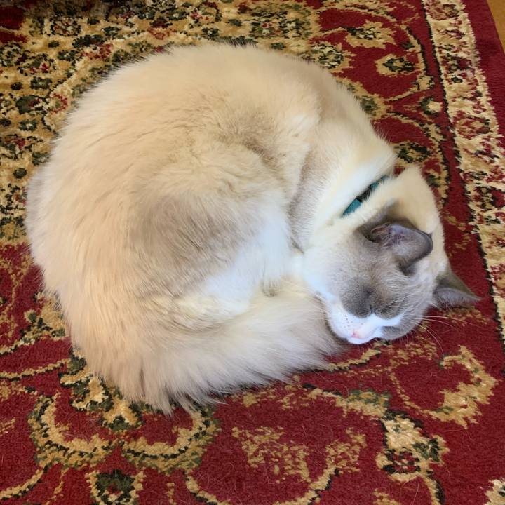 1f28567c d4b5 4848 846c 8b7e61463ec8 1637731355015