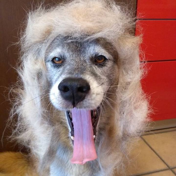 1f28a45a e009 4cf1 9cc7 269120bb126f 1624231541953