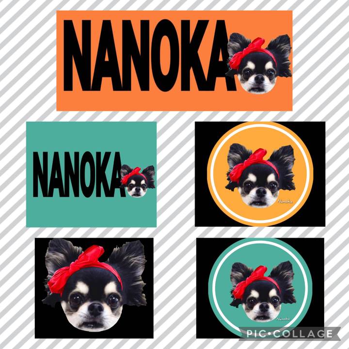 1f28e2e0 8405 4142 8fa2 d1c8ca21aec0 1696997271446