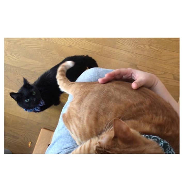 1f2920c3 f768 44f7 8c77 8a10d6e539b8 1581201279462