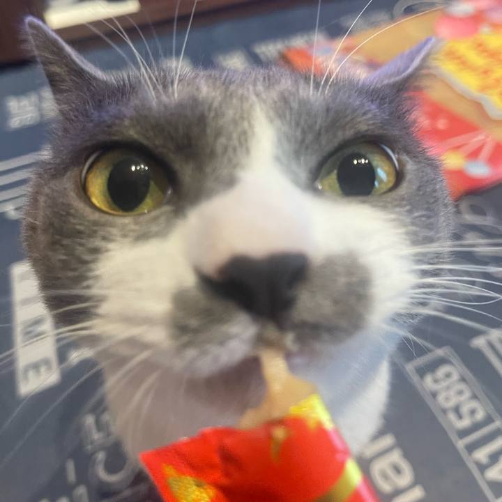 1f293cb6 2097 4564 8b26 30a3f1d2552e 1692075934512