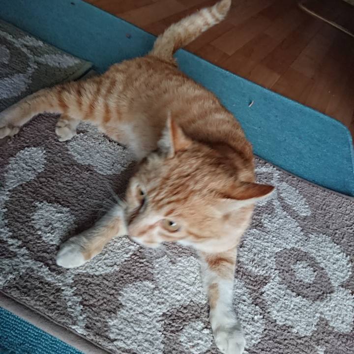 1f297258 3075 479f ac91 892570f057fb 1556617044275