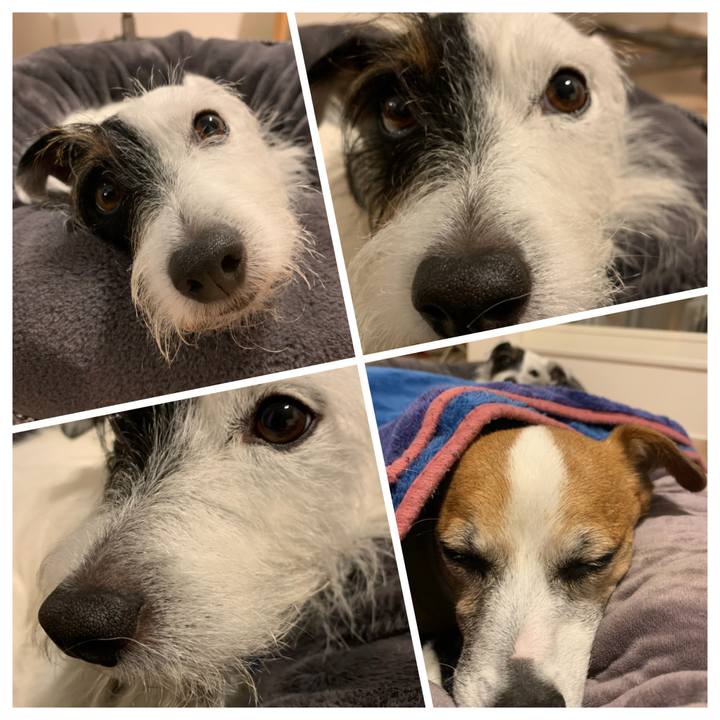 1f29a5e5 271e 40a3 844a 6d457625625f 1636375050211