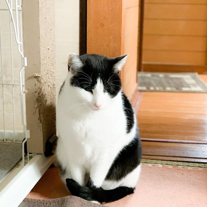 1f29b5f1 2c9e 4d0d 8712 9a8d65eab5e2 1581557226975