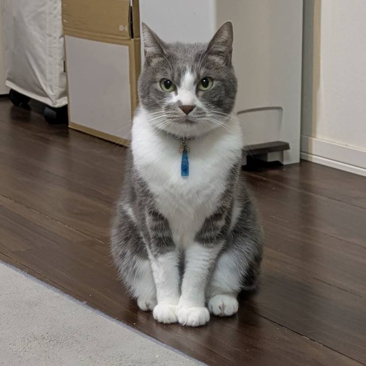 1f2a3bcb 47e6 4945 a809 c4c38866217f 1764068730028