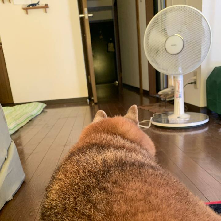 1f2a705c df30 4d95 b85f 80644a312d89 1651646861035