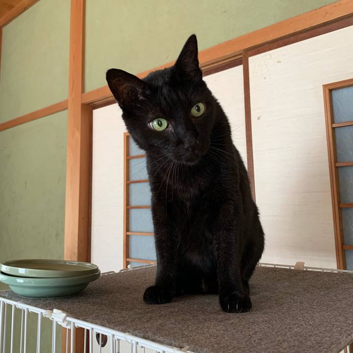 1f2ae1e8 5cef 49c3 bba2 372442996e6d 1597366185168