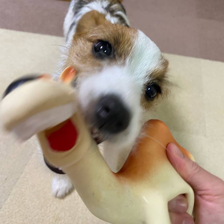 1f2ae9a1 36fc 4c80 922e c4e5bff3acc7 1628254314871