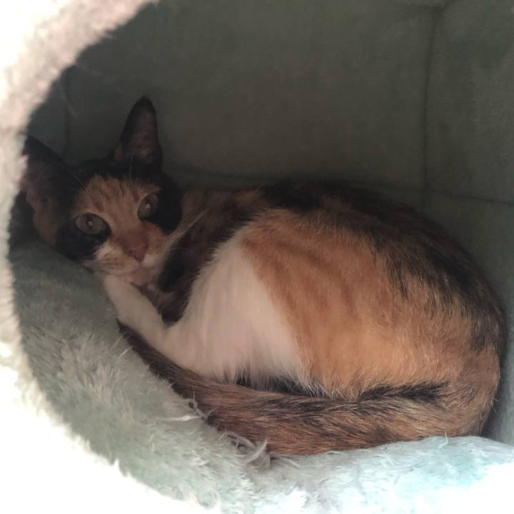 1f2b0f10 1595 411b a6d5 2f3a819fcd33 1557655168030