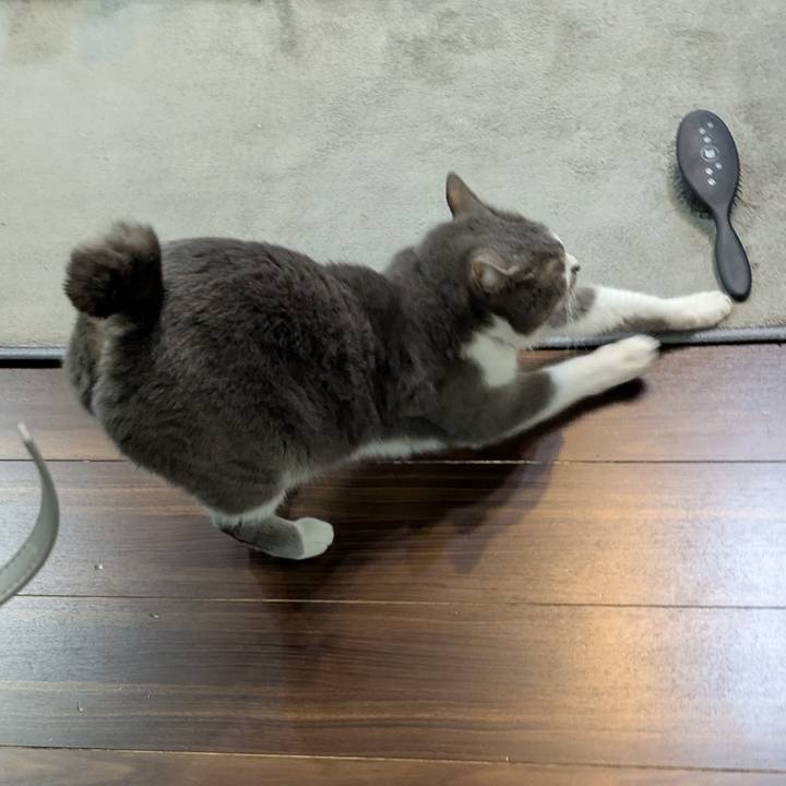 1f2b1c8e 5742 4f0e 9b0b f0d28e8f6132 1746512029033