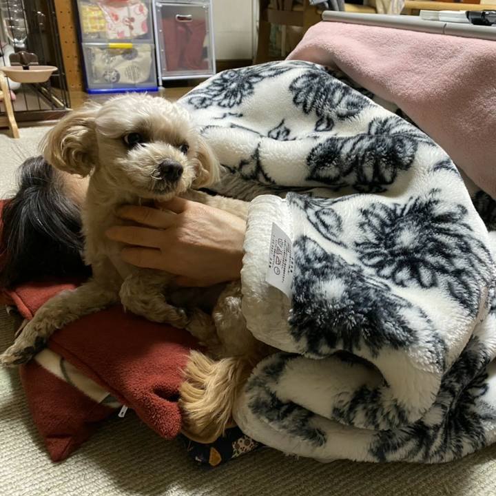 1f2c30e9 d364 4fc5 8418 830913b63497 1580742498468