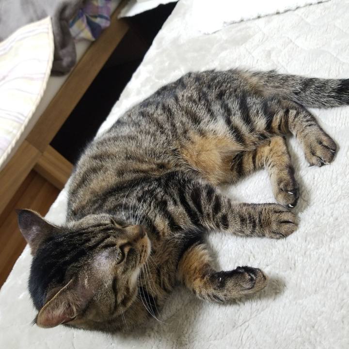 1f2c5873 551b 4747 bbac cb11a5c2c275 1584998861642