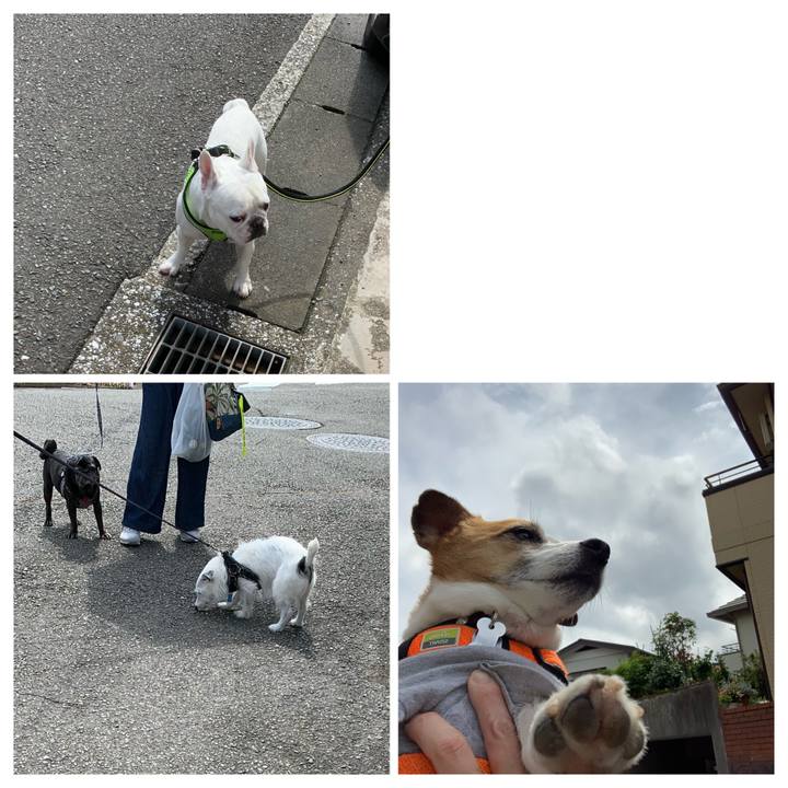 1f2c62c4 cfcc 4f70 b340 0a95b35cbca6 1623893847366