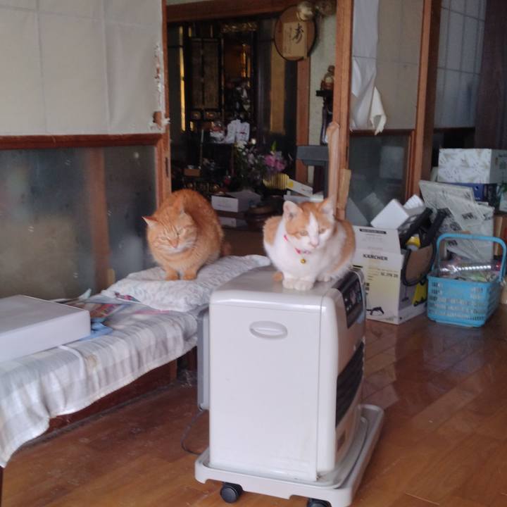 1f2cd91a 27d9 48a8 a049 ab74ff6efe9a 1740983472922