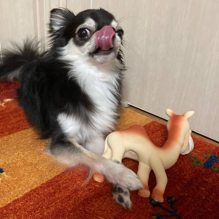 1f2d08b0 d316 4ed0 9bf6 88d7943540a4 1664112826708