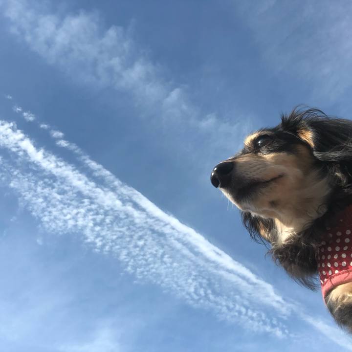 1f2d13b2 def4 47c8 8987 b0db3278d9d7 1568938975913