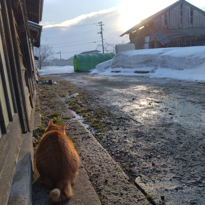 1f2d157c 0dd2 4bc2 b55f 3c2b10438a1b 1677626963236