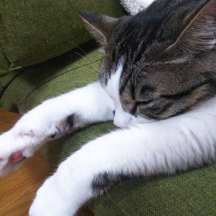 1f2d22cf c476 4bb6 8e51 902d013edb20 1652533803160