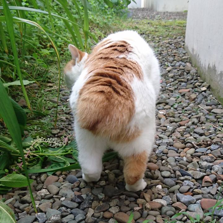 1f2d24c4 f73a 4459 9b33 cdb256c182d4 1658557851728