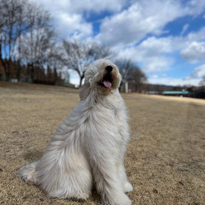 1f2d3179 f092 46fc 83e2 39d8b55ae453 1740289878763