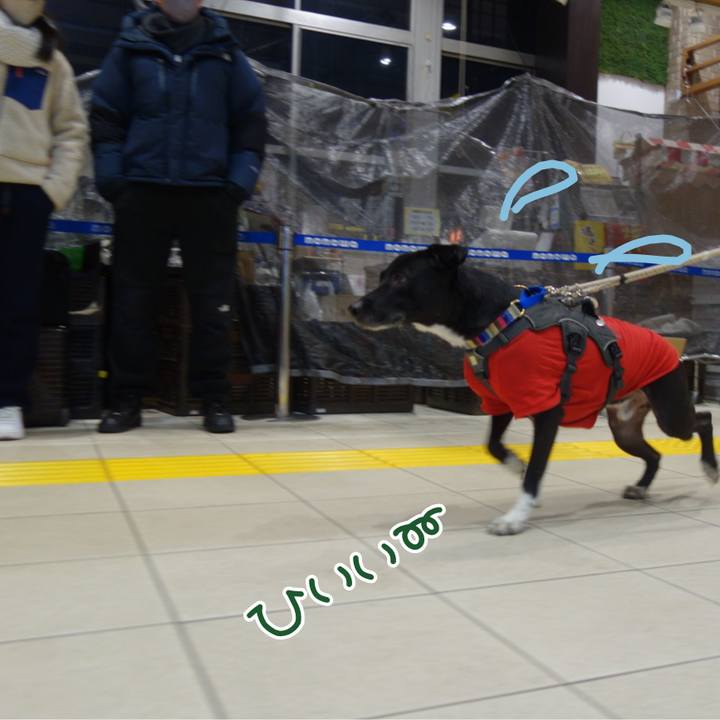 1f2d3986 a5fa 46d7 8a9d fb46b70f0844 1641035074055