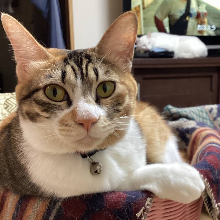 1f2d54eb 55c0 4bfc 887b dbfa6716fb58 1666825199459