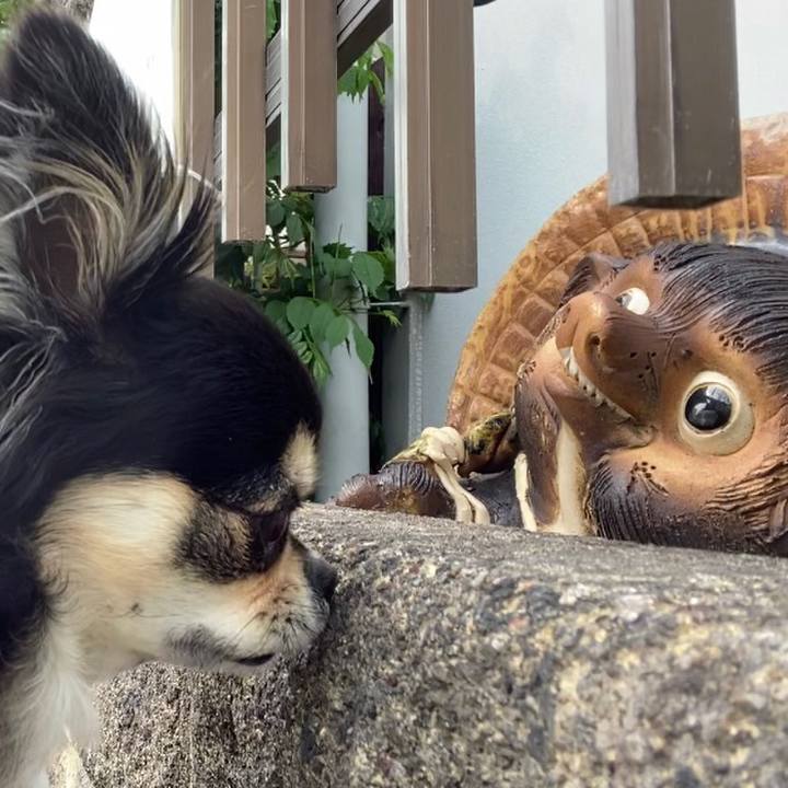 1f2d7d8d 7c06 41a7 86ba 2f0d5efd785b 1620779243423