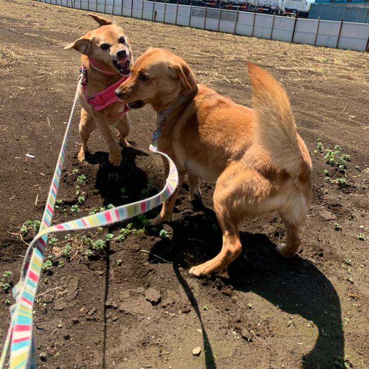 1f2d8d7d 1180 460c ac91 7fef802bab47 1619891940331