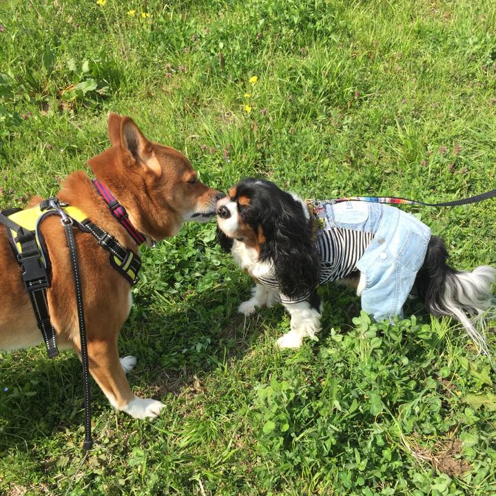 1f2da3c5 664e 4fd9 9ae4 e96ec608b804 1617249225654