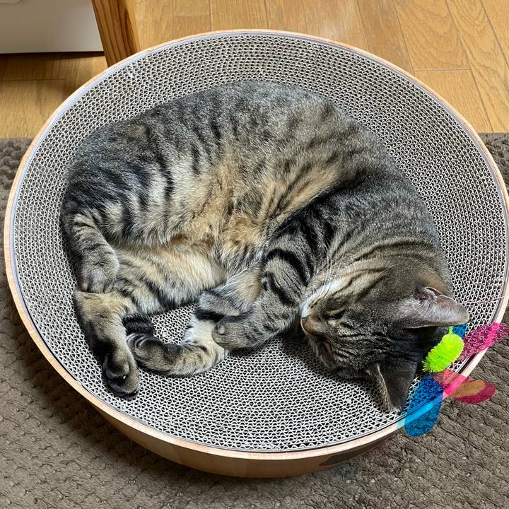 1f2da8a9 2738 4d98 b658 c19e0782727a 1634814661038