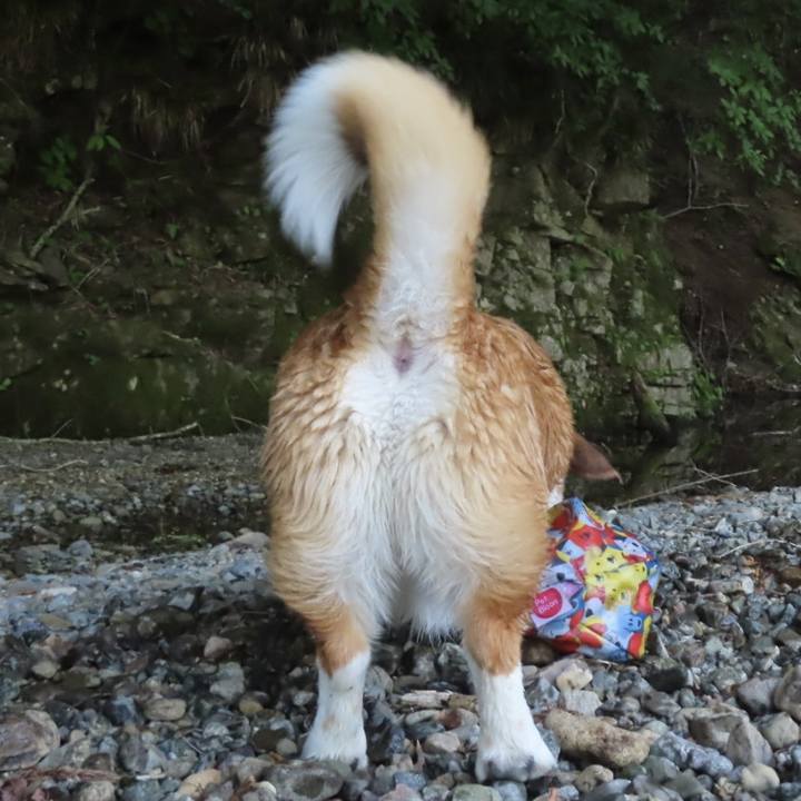 1f2dca77 cbf7 4feb ab55 fb99df341fc3 1717942628212