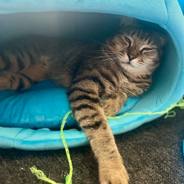 1f2e04f2 b0e8 4bad 988d 2b346b59b817 1760162164520