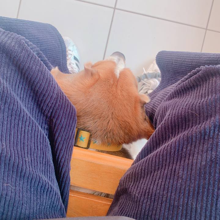 1f2e1ce3 2cc9 400b beaf 47ac0241d95e 1670729604854