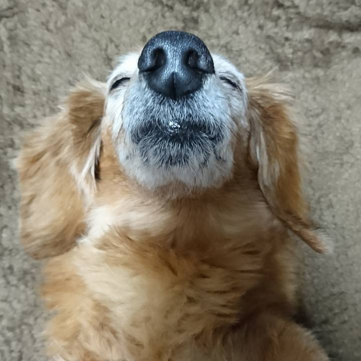 1f2e31b0 3e5a 4405 97df 4621c234226a 1510507317075