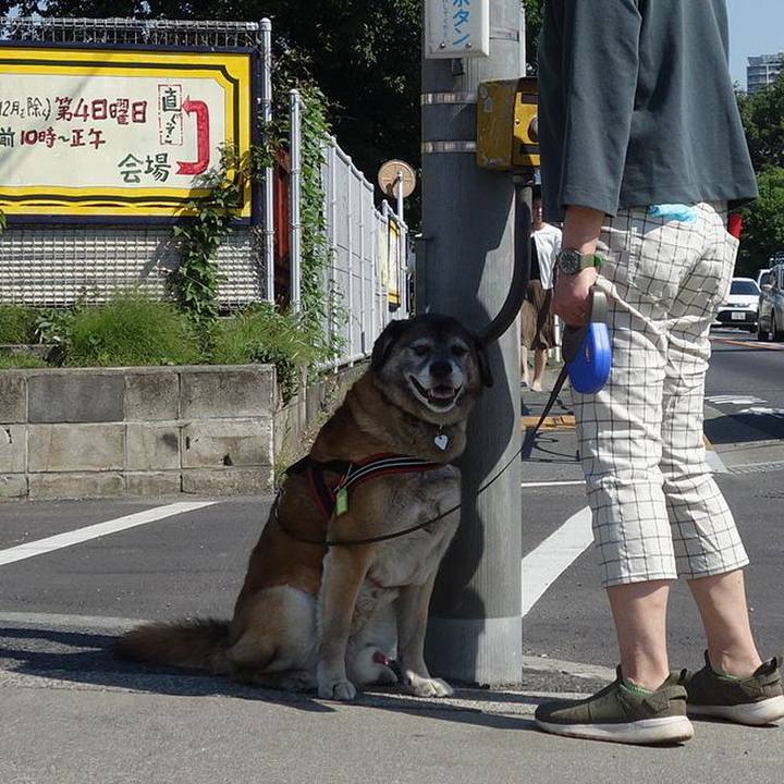 1f2e341e 8fe2 4928 8a07 2266f794eda0 1526953950129