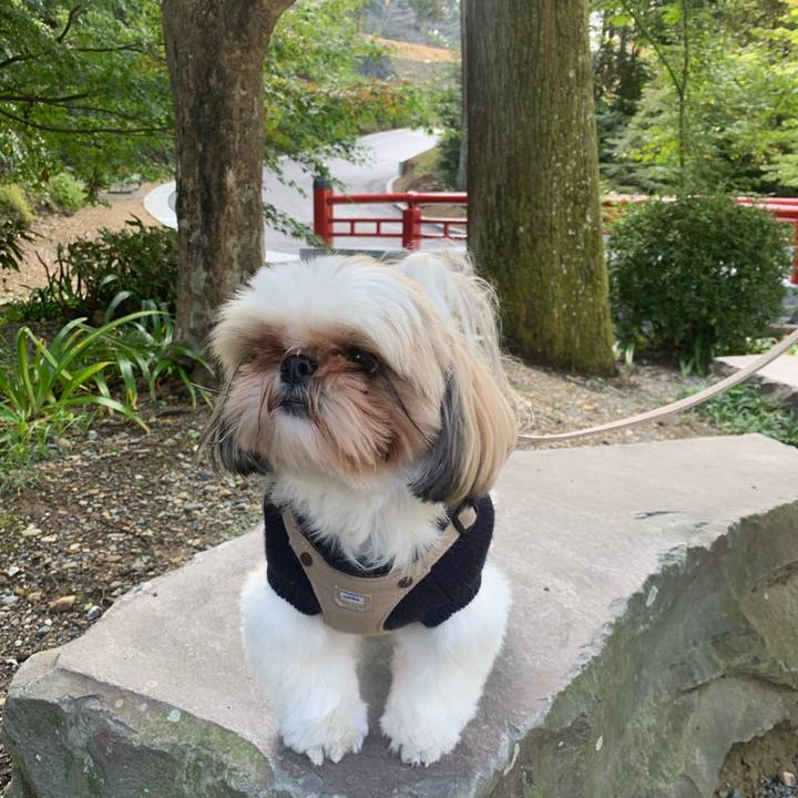 1f2e445d c2a8 481b a3f9 bf7d755bb019 1604808319593