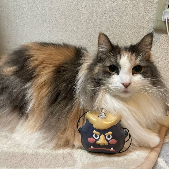 1f2e9d7b f450 48fb 9435 212b6cf30ec5 1738495926847