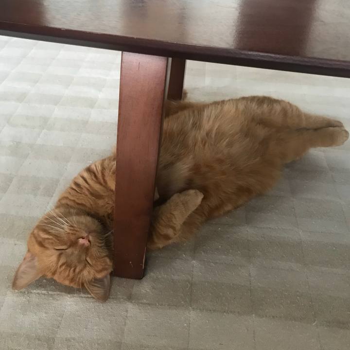 1f2ea8bc 87f8 4e1a 81f6 03ce6d539afc 1533802679159