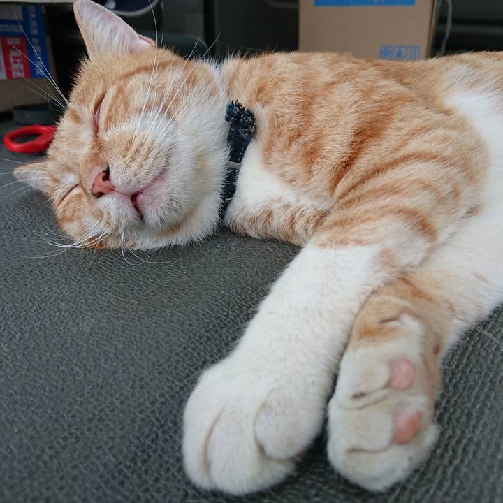 1f2ebc3e a8e5 4858 b550 02e569e793a2 1565596881662