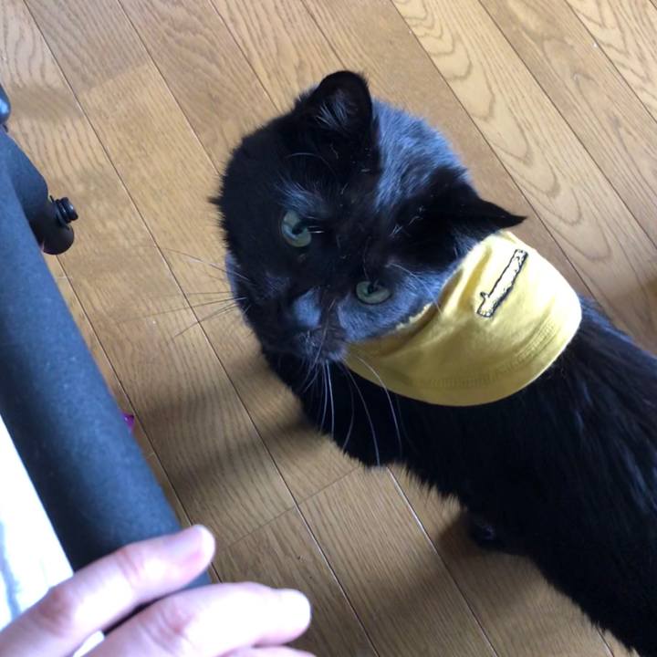 1f2edc80 b30c 4e81 9e90 4be5876f5cc7 1592111839500