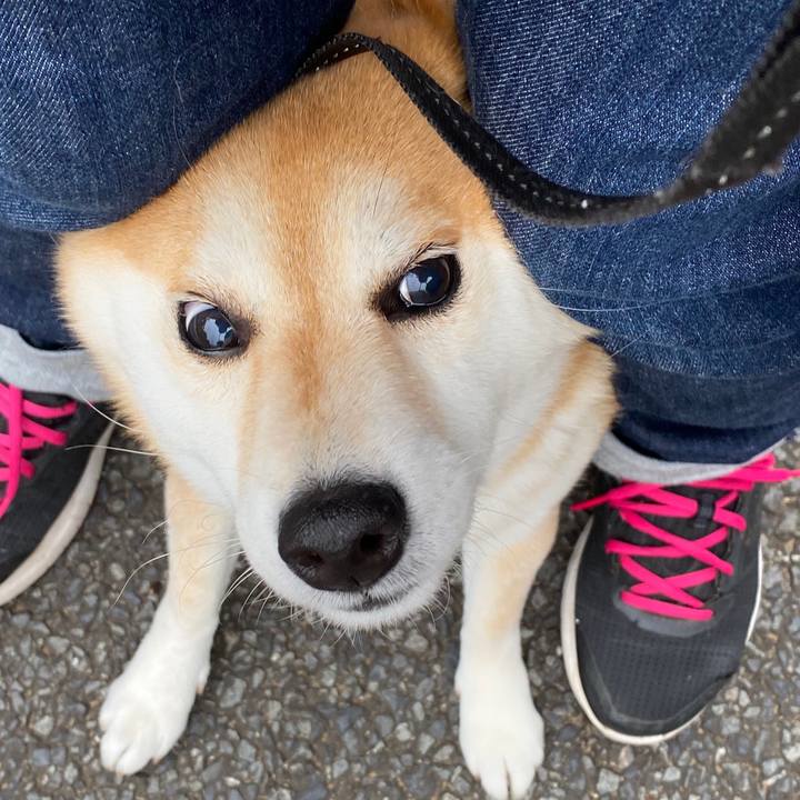 1f2f1ac0 0c41 4579 a623 825eefc5b733 1593440792917