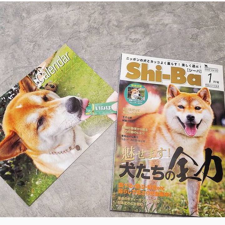 1f2f1b74 4cd7 4b7d 822c c472d2eceb75 1638181606431