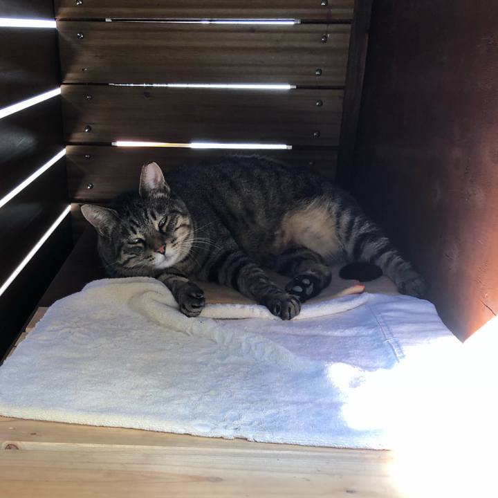 1f2f7de1 d5cd 4f4d b846 1ca4109c3d0b 1541129685579